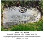 Headstone - Hilda Kirtz Wilcox